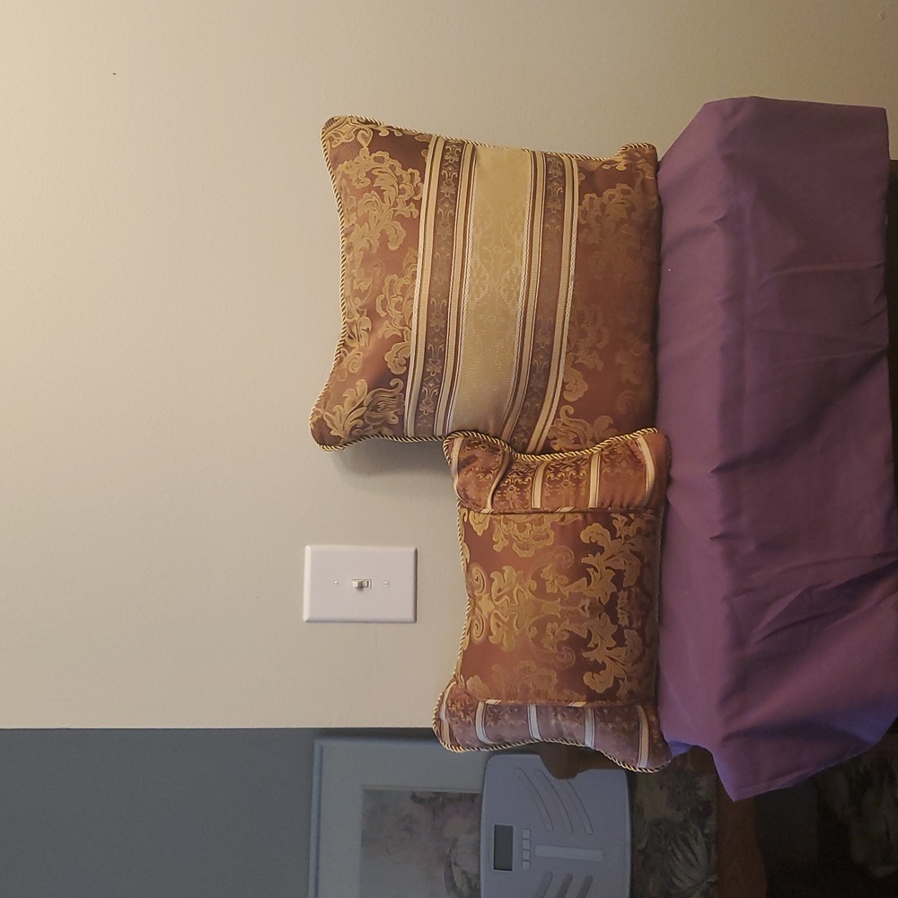 Elegant Brown and Gold Decorative Pillows